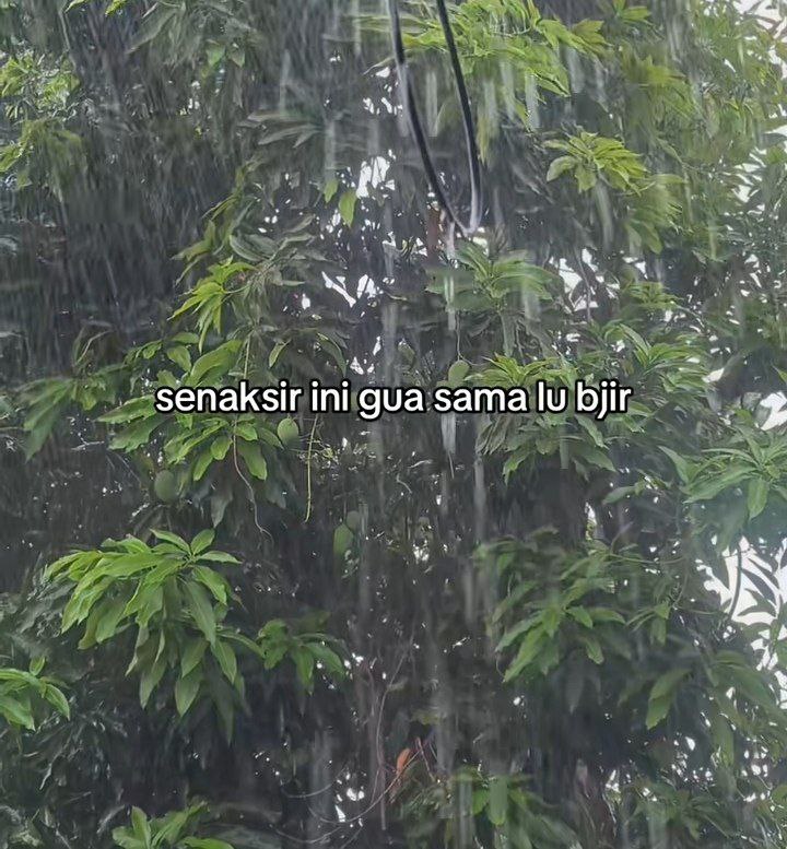 susa klo hrs trs mkirin org …