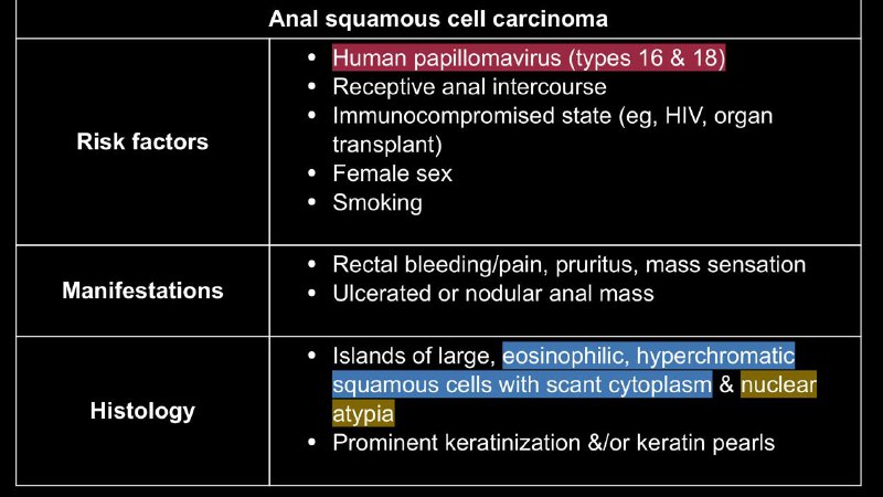 Anal squamous cell carcinoma