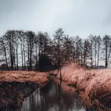 قناة : عبد الرحمن شداد