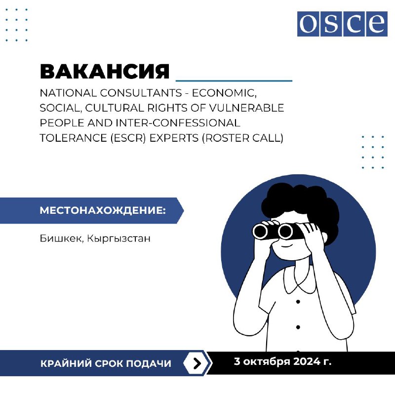 ***🔍*** OSCE ищет консультантов!