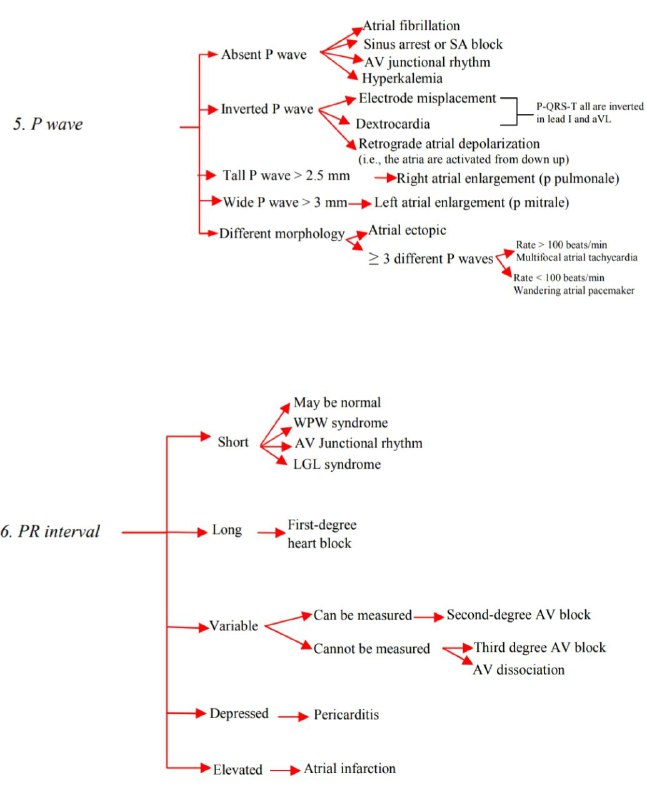 Ⓜ️edical Clinical Ňotes 🩺✍️