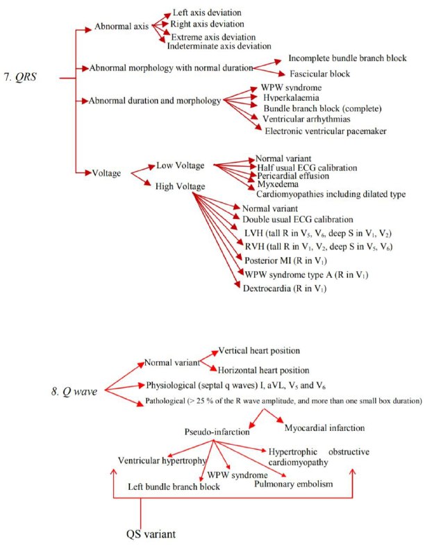 Ⓜ️edical Clinical Ňotes 🩺✍️