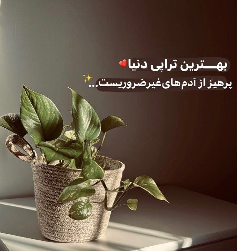 «بازگشتم