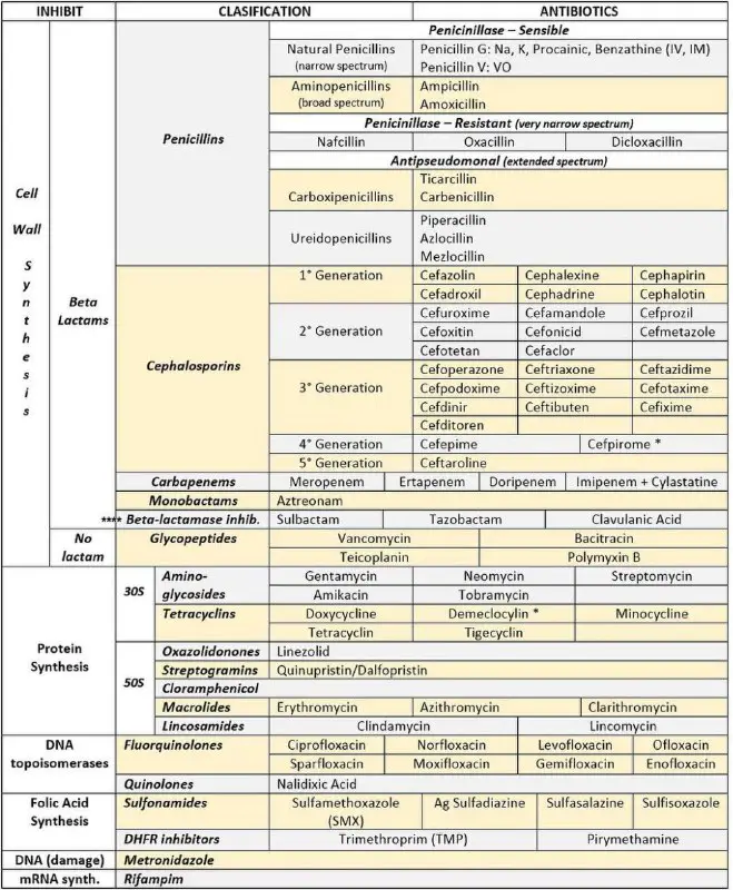 Classification by antibiotics by mechanism of …