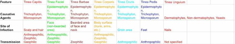 🥼Medical Information🥼