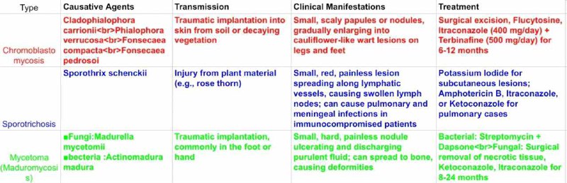 🥼Medical Information🥼