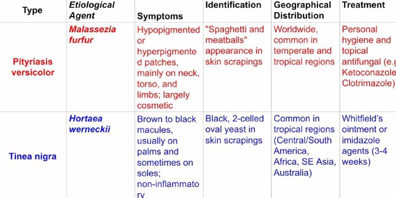 🥼Medical Information🥼