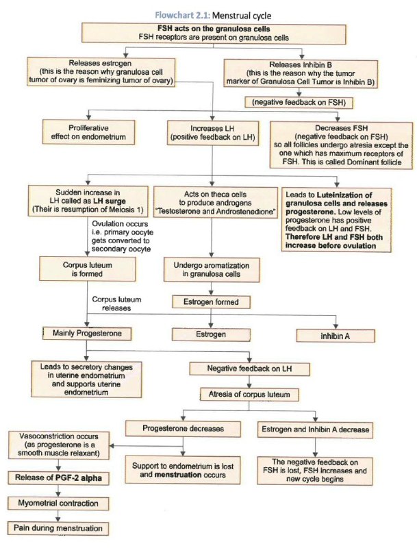 [#Menstrual\_cycle](?q=%23Menstrual_cycle) مخطط رهيب لل