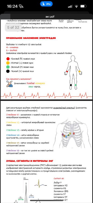 [#ekg](?q=%23ekg) китобчадан намуна