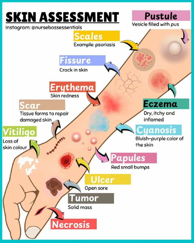 مهارات التمريض العام 🚑