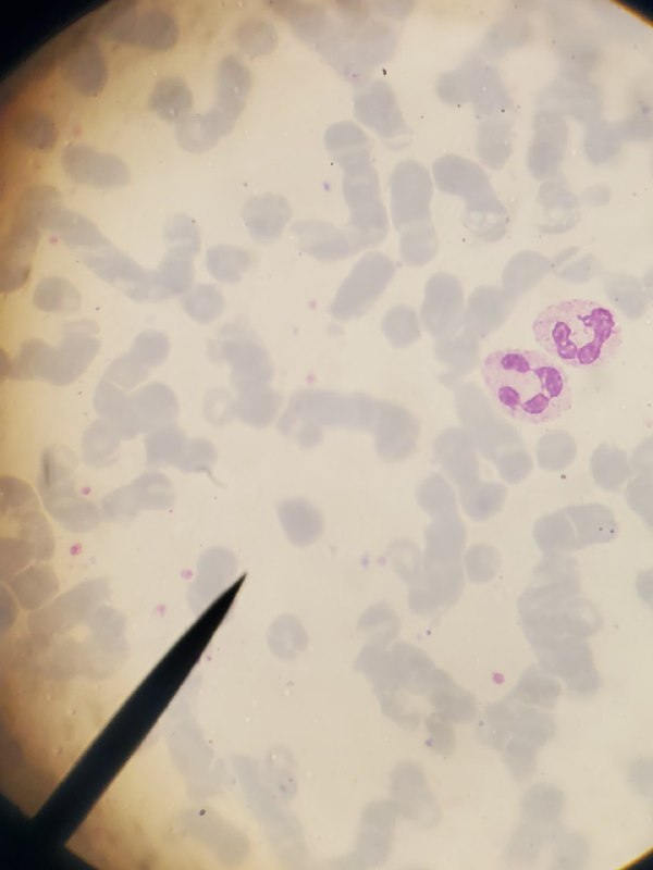 𝗧𝗵𝗲 𝗯𝗲𝘀𝘁 𝗽𝗹𝗮𝗰𝗲 𝘁𝗼 𝗿𝗲𝘃𝗶𝗲𝘄{🌡🧪𝗟𝗮𝗯𝗼𝗿𝗮𝘁𝗼𝗿𝘆 🔬🧬}