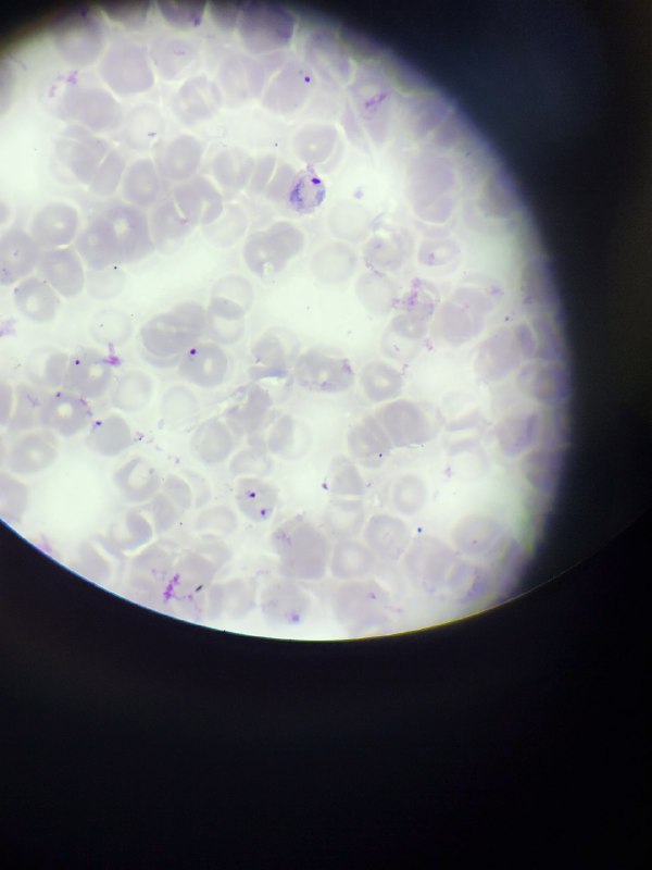 𝗧𝗵𝗲 𝗯𝗲𝘀𝘁 𝗽𝗹𝗮𝗰𝗲 𝘁𝗼 𝗿𝗲𝘃𝗶𝗲𝘄{🌡🧪𝗟𝗮𝗯𝗼𝗿𝗮𝘁𝗼𝗿𝘆 🔬🧬}