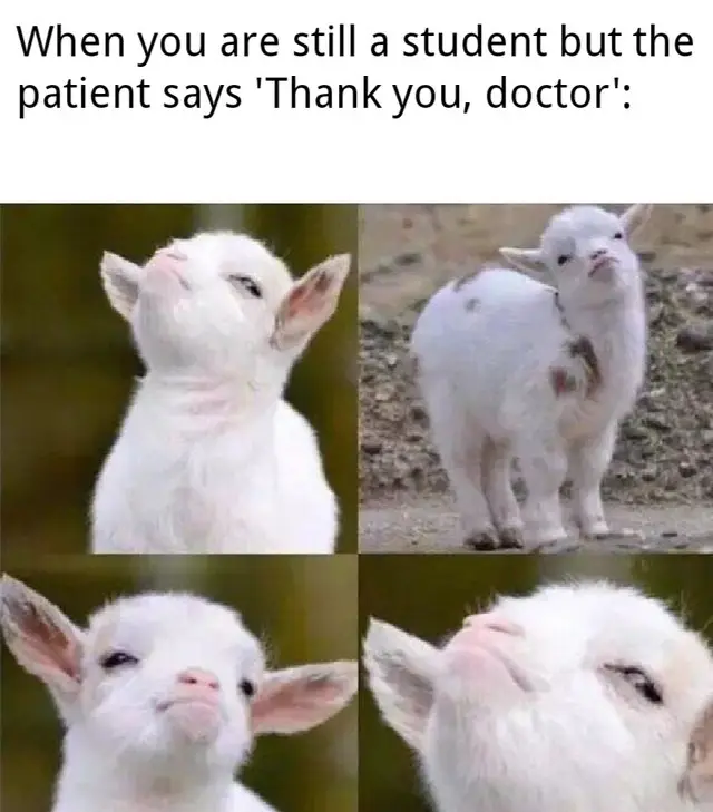 #[MedicalityMemes](https://preview.redd.it/4ig7vy12i7551.png?width=640&amp;crop=smart&amp;auto=webp&amp;s=488848527641f4049d8e370df8bf2787c5a51c50)