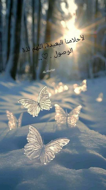 [#القيادة\_الصحية](?q=%23%D8%A7%D9%84%D9%82%D9%8A%D8%A7%D8%AF%D8%A9_%D8%A7%D9%84%D8%B5%D8%AD%D9%8A%D8%A9)