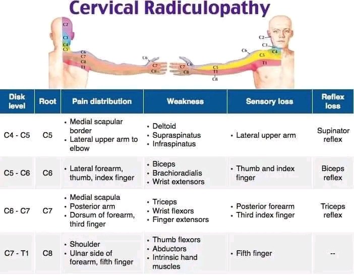 MMM..(medical Mnemonics & maps)