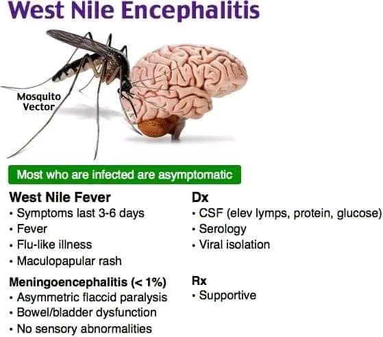 MMM..(medical Mnemonics & maps)