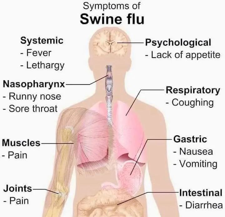 MMM..(medical Mnemonics & maps)