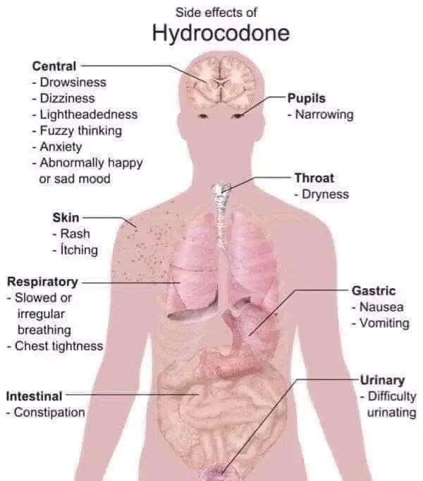 MMM..(medical Mnemonics & maps)