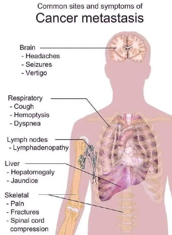 MMM..(medical Mnemonics & maps)