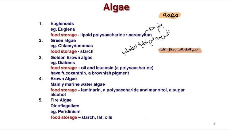 العلوم الطبية - الجامعة الأسمرية