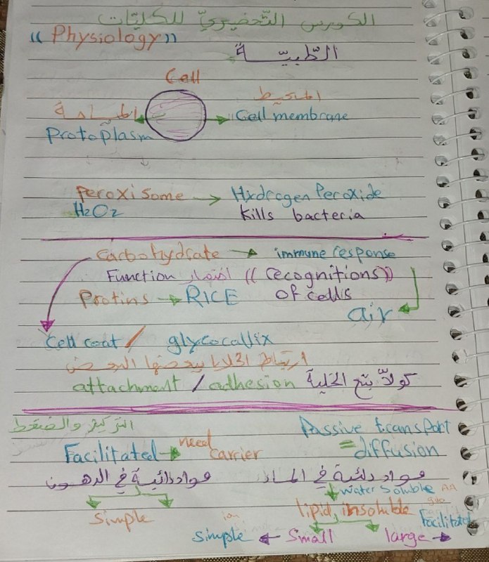 د.ذرار شرع الله (Medical Terminology)