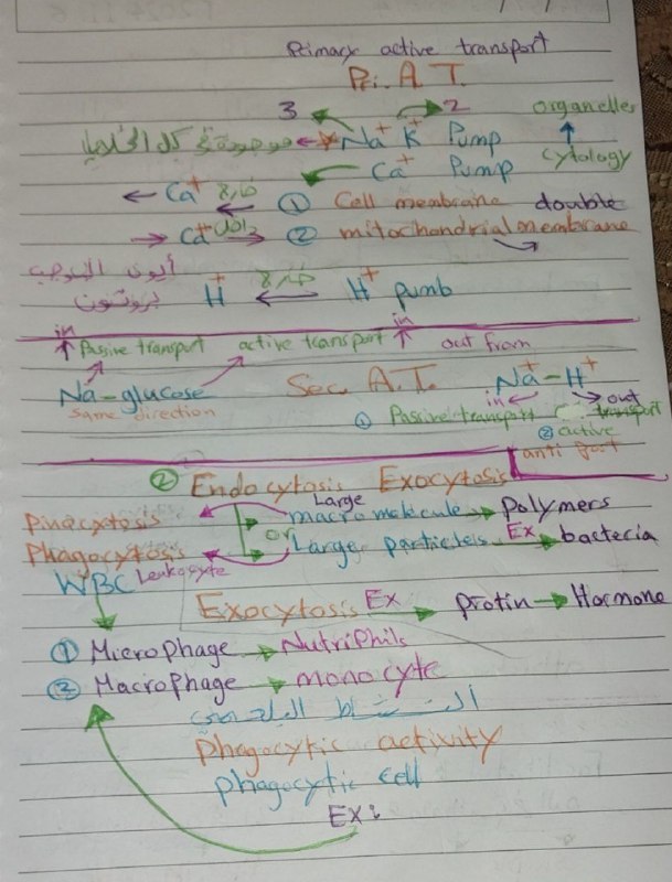 د.ذرار شرع الله (Medical Terminology)