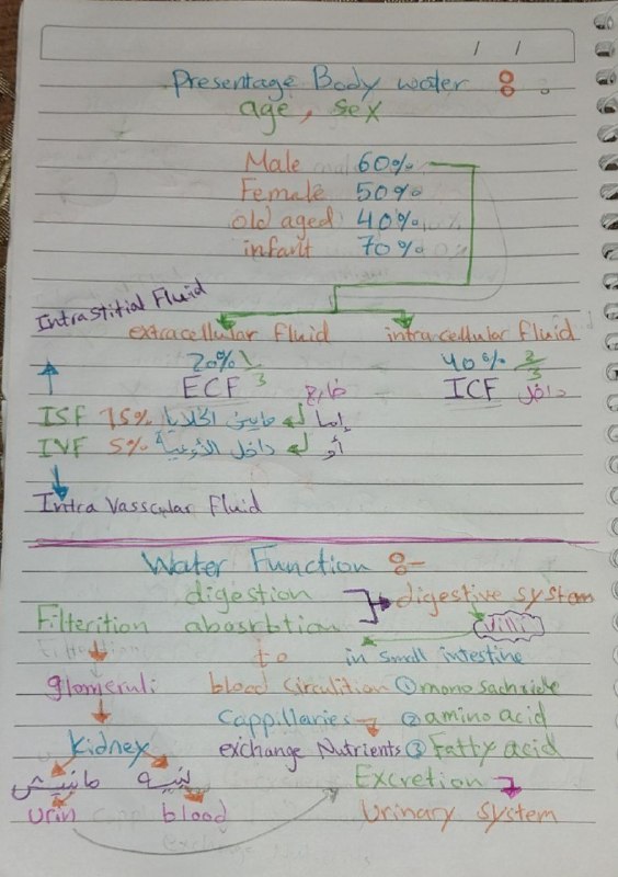 د.ذرار شرع الله (Medical Terminology)