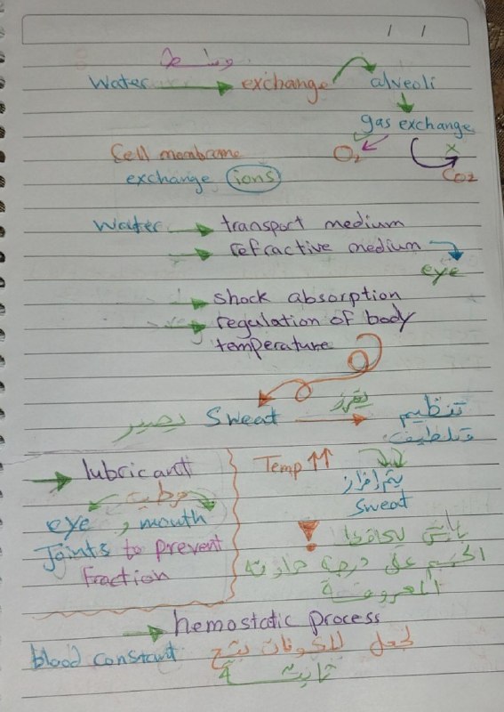 د.ذرار شرع الله (Medical Terminology)