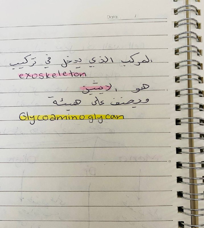 المرحلة التمهيدية الطبية 2005💙.