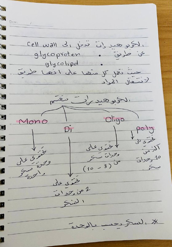 المرحلة التمهيدية الطبية 2005💙.