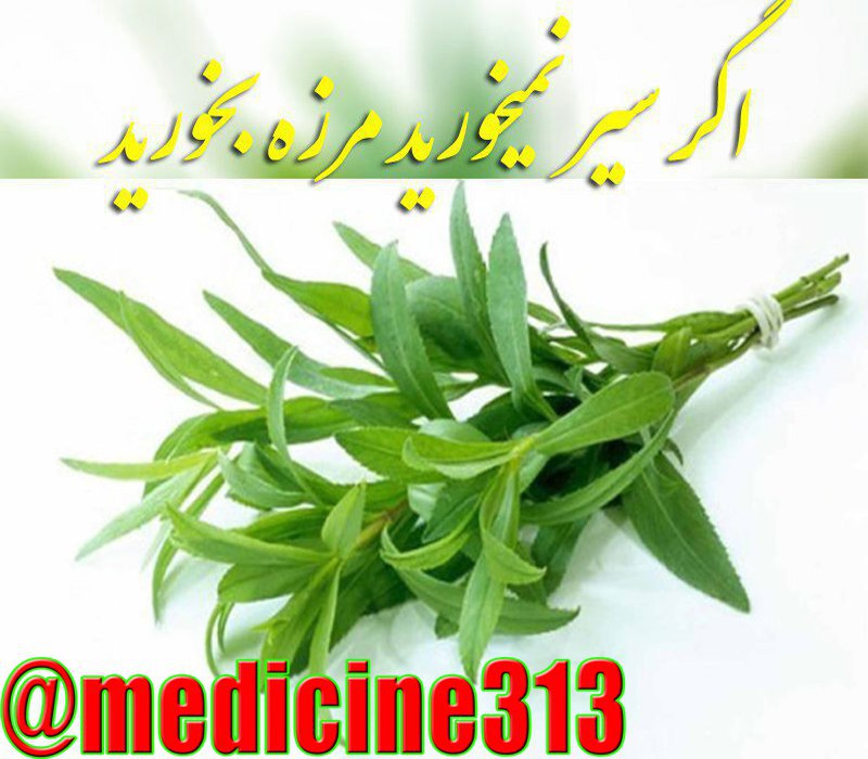 ***✅***•⇦ اگر "سیر" نمیخورید ، بجای …