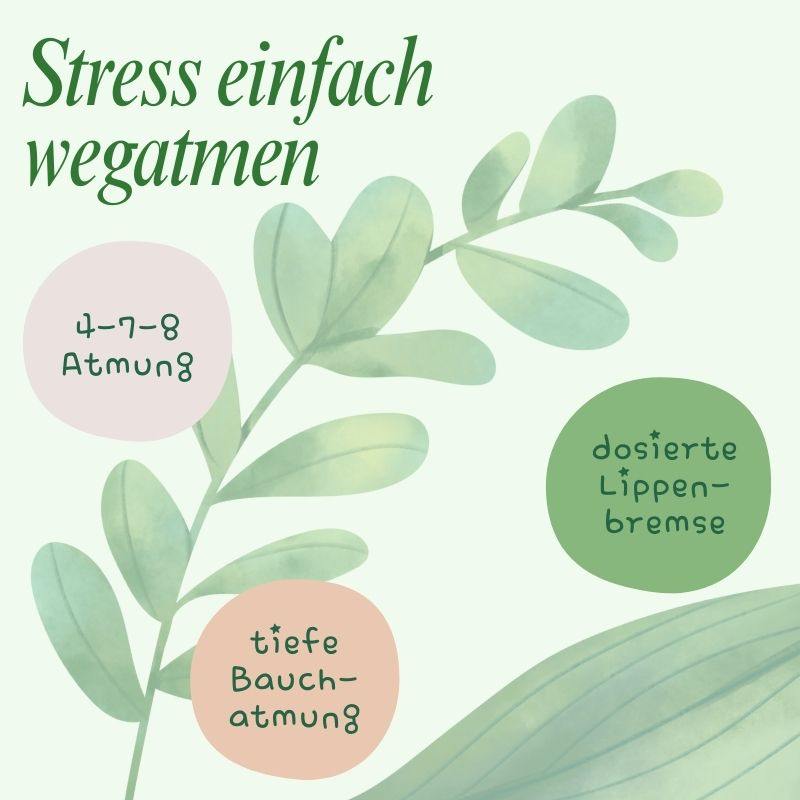 Mit diesen drei einfachen und bewährten …