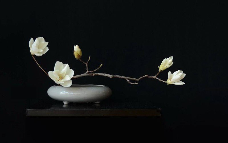 *Ikebana by Chi Kim Vu.*