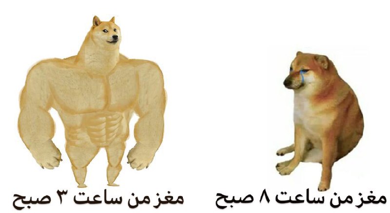 به این ترتیب =)))))