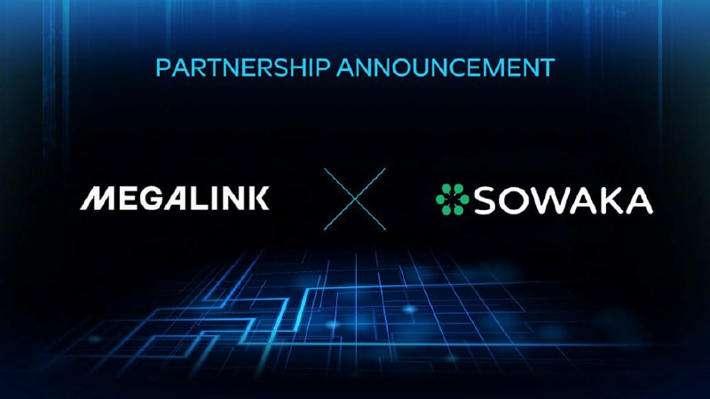 *****🚀***** **Megalink partnered with Japan's Sowaka …