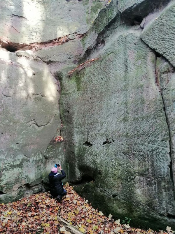 Verleugnete Hochkultur in Deutschland