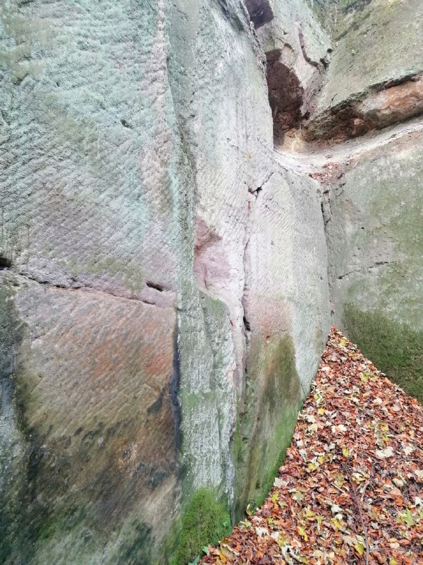 Verleugnete Hochkultur in Deutschland