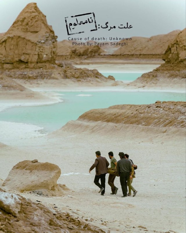 سینما [#جامعه\_شناسی](?q=%23%D8%AC%D8%A7%D9%85%D8%B9%D9%87_%D8%B4%D9%86%D8%A7%D8%B3%DB%8C) و [#حقوق](?q=%23%D8%AD%D9%82%D9%88%D9%82)