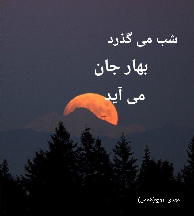 شب می گذرد بهار جان می …