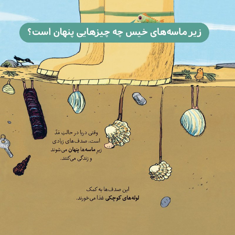 محراب قلم