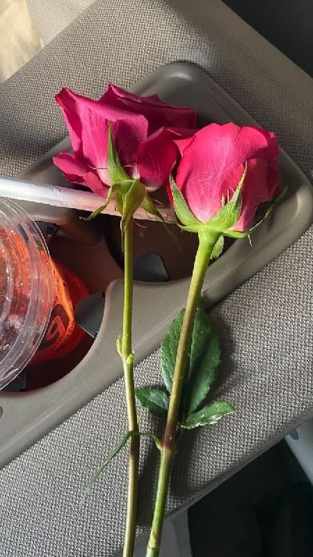 ‌‌قبل از ورود به یک رابطه …