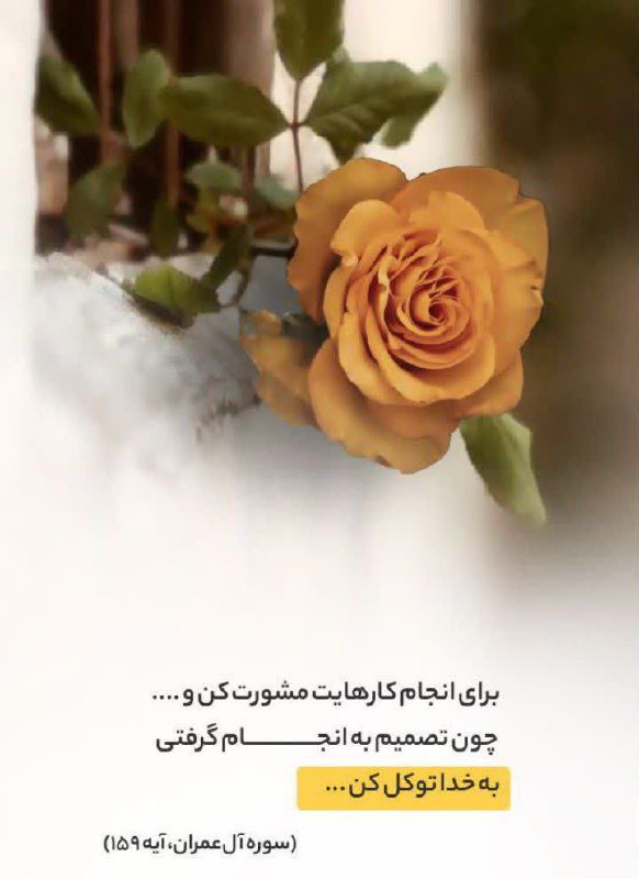 ‌