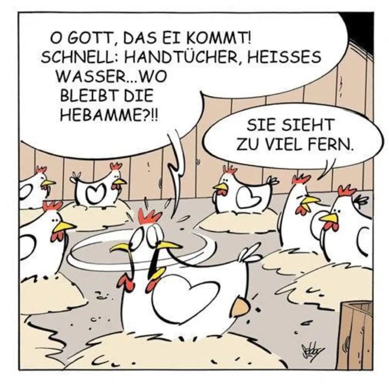 Meisterin der Geburt
