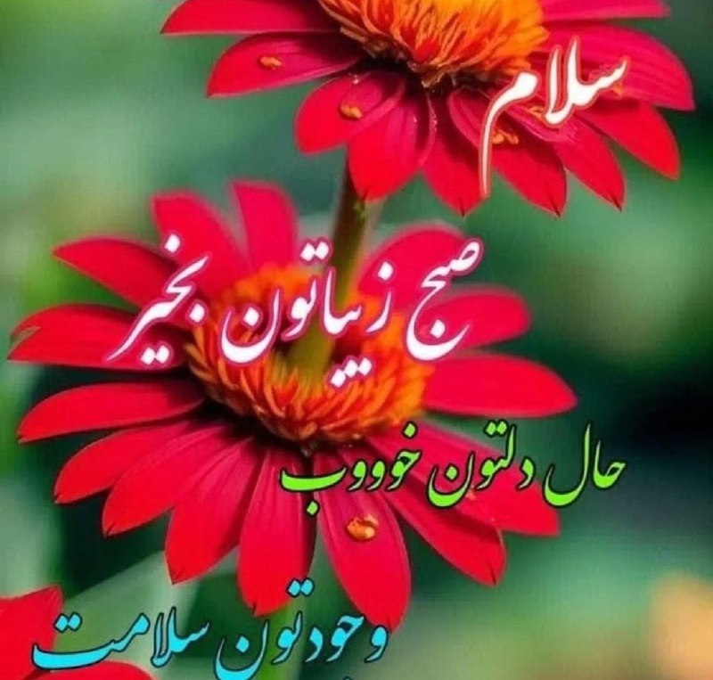 ***?******✨***آدینه تون عالی و شاد