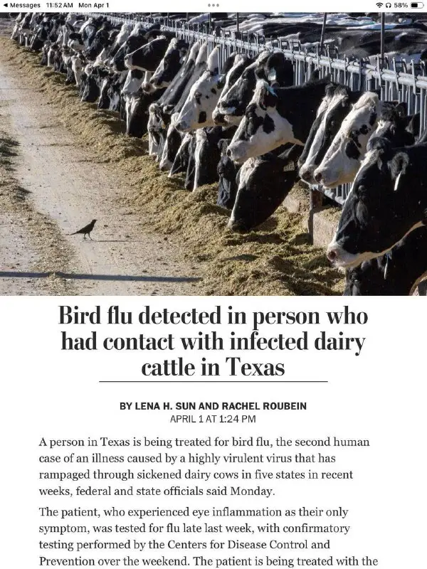 Avian Influenza (H5N1) has been detected …