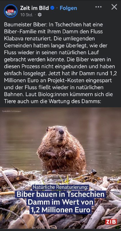 Zum Nachdenken...