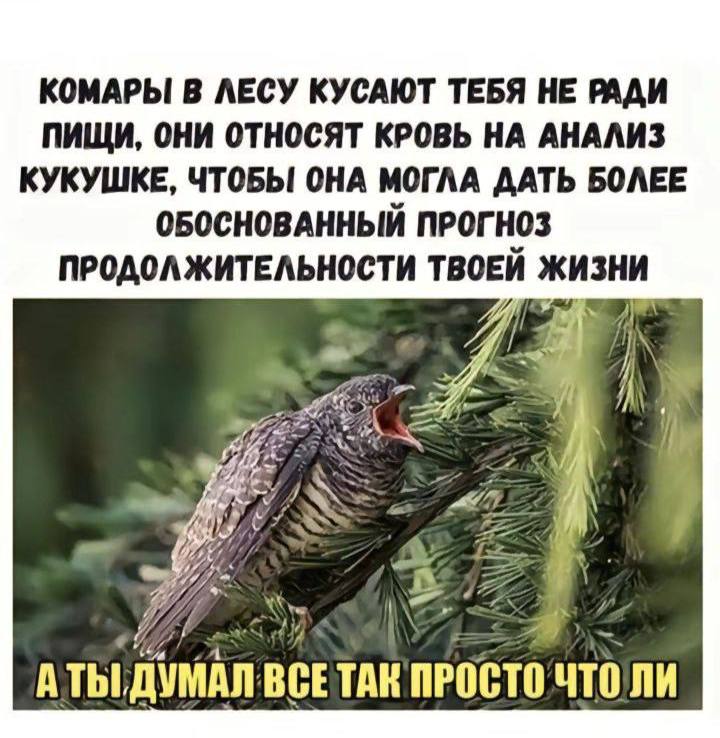 Так и есть, думаю