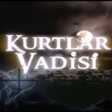 Kurtlar Vadisi