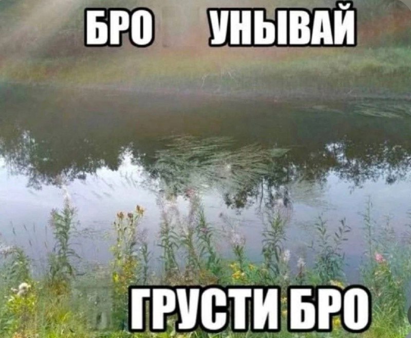 мемы и мамы