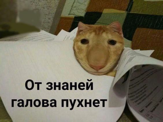 мемы и мамы